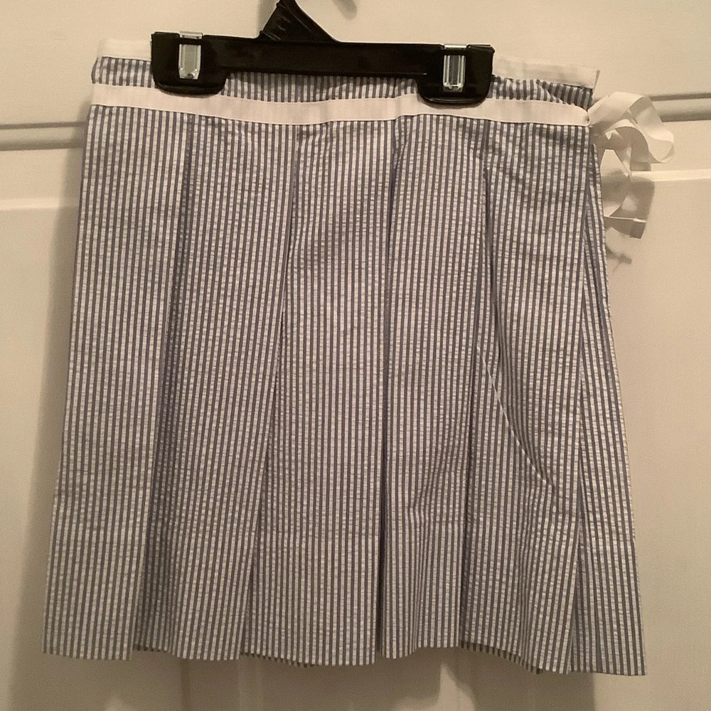 Ralph Lauren Blue and White Striped Mini Skirt